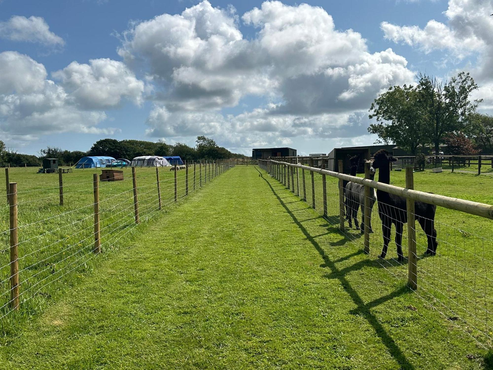 ナーバースThe Cow Shedアパートメント エクステリア 写真